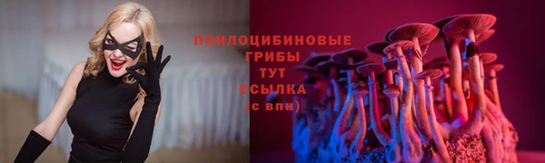 прущие крисы Киренск